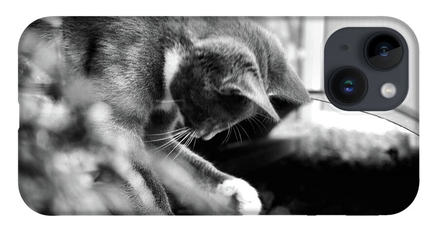 Animals iPhone 14 Case featuring the photograph Patches explores 6 BnW by Michael Blaine