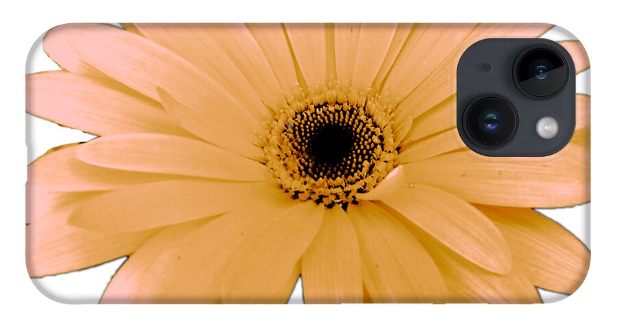 Digital Art iPhone Case featuring the digital art Peach Daisy Flower by Delynn Adams by Delynn Addams