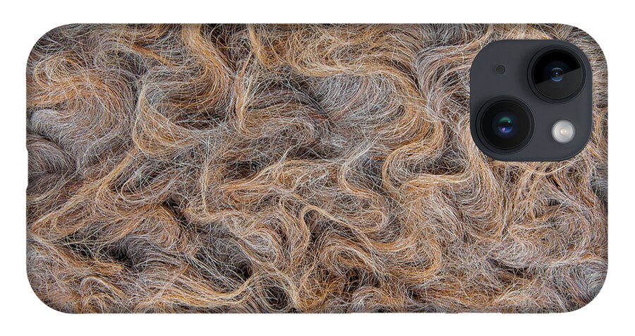 Burro iPhone 14 Case featuring the photograph Peruvian Burro Curls by Britt Runyon