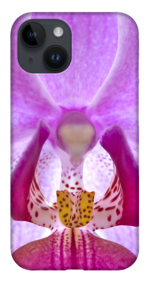 Phalaenopsis Orchid iPhone 14 Case featuring the photograph Phalaenopsis Orchid by George Robinson
