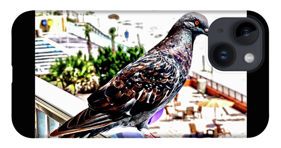 Pigeon iPhone 14 Case featuring the photograph Pigeon Power by Gina O'Brien