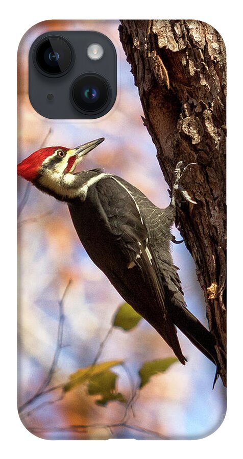 Pileated Woodpecker iPhone 14 Case featuring the photograph Pileated Woodpecker by Phil Spitze