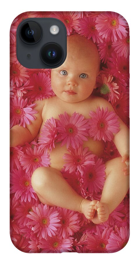 Daisies iPhone 14 Case featuring the photograph Pink Daisies by Anne Geddes