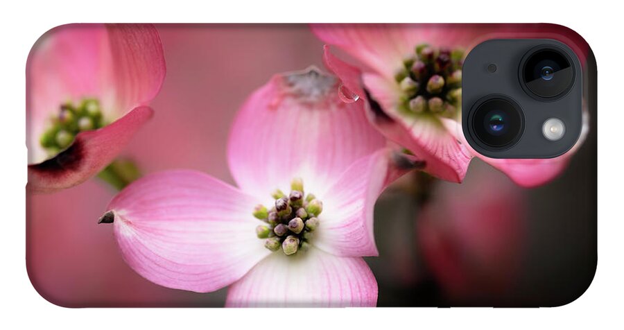 Brattleboro Vermont Spring iPhone 14 Case featuring the photograph Pink Dogwood by Tom Singleton