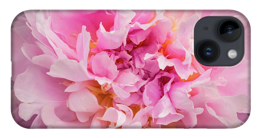 5dii iPhone 14 Case featuring the photograph Pink Double Peony by Mark Mille