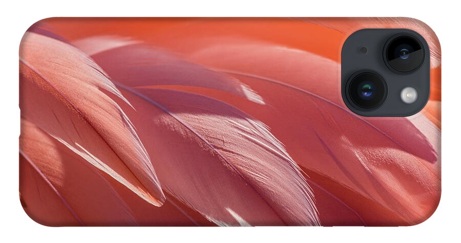 Abstract iPhone 14 Case featuring the photograph Pink Flamingo by Holly Ross