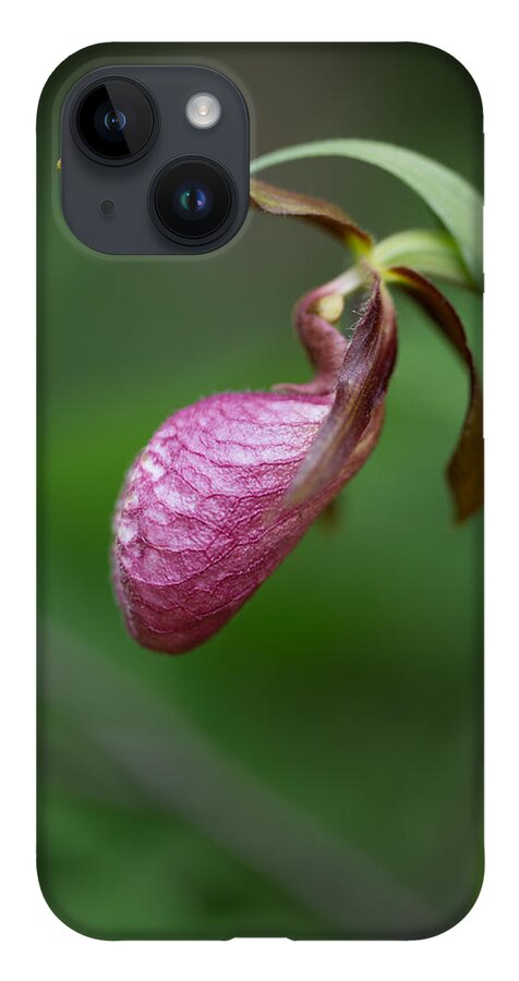 Canada iPhone 14 Case featuring the photograph Pink Ladys Slipper Cypripedium acaule by Jakub Sisak