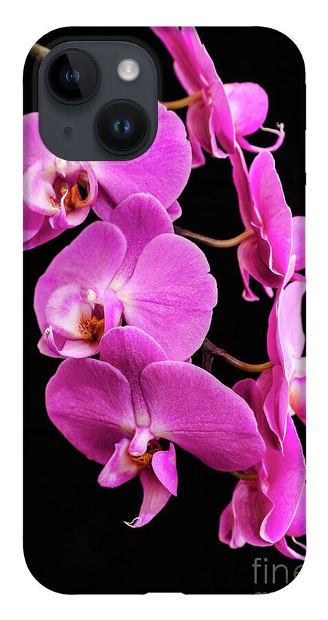 Pink Orchid iPhone 14 Case featuring the photograph Pink Orchid with Black background by Andy Myatt