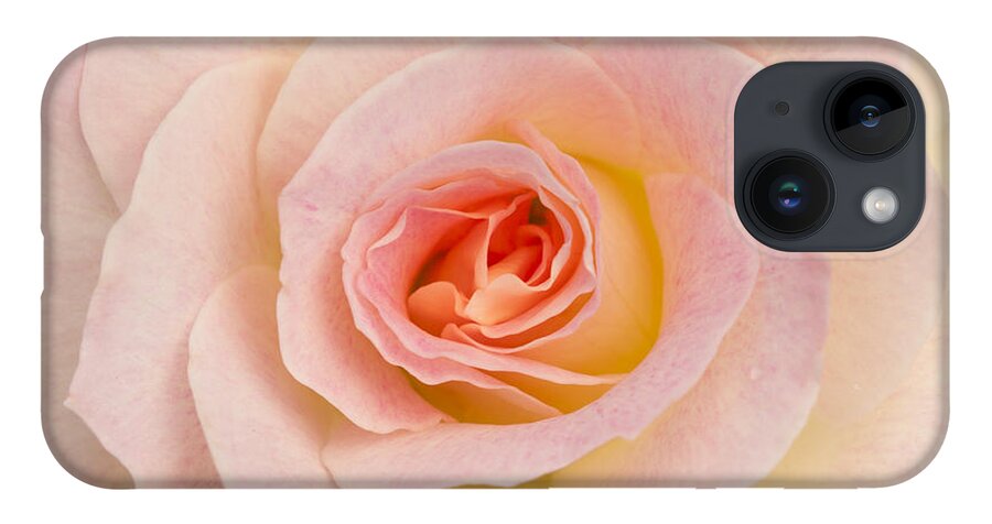 Rose iPhone 14 Case featuring the photograph Sweetness by Patty Colabuono