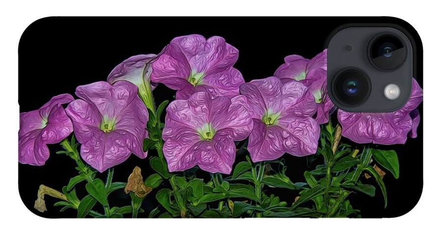 Flower iPhone 14 Case featuring the photograph Pink Petunia On Black by Cathy Kovarik