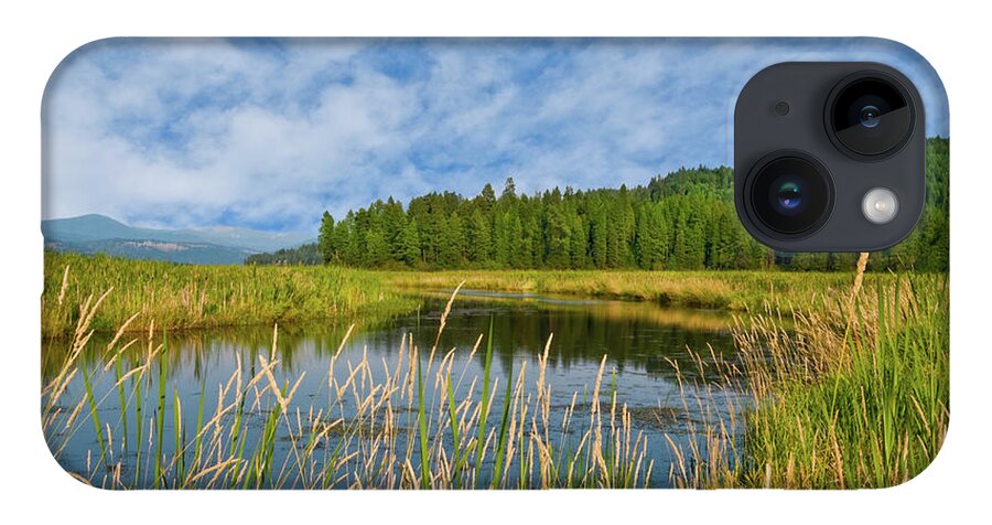 Beauty In Nature iPhone 14 Case featuring the photograph Plummer Creek Marsh by Jeff Goulden