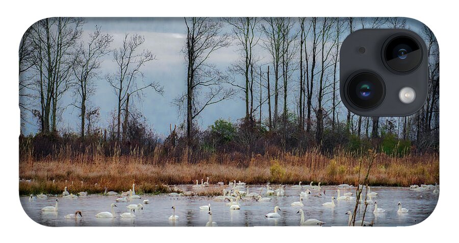 Nature iPhone Case featuring the photograph Pocosin Lakes NWR by Donald Brown