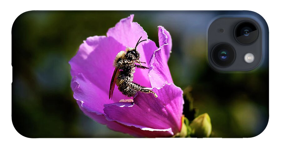 Bee iPhone 14 Case featuring the photograph Pollen Clad by Patricia Montgomery