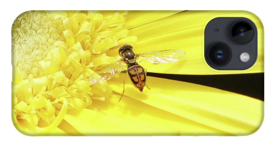 Daisy iPhone 14 Case featuring the photograph Pollinator and Daisy by Robert E Alter Reflections of Infinity