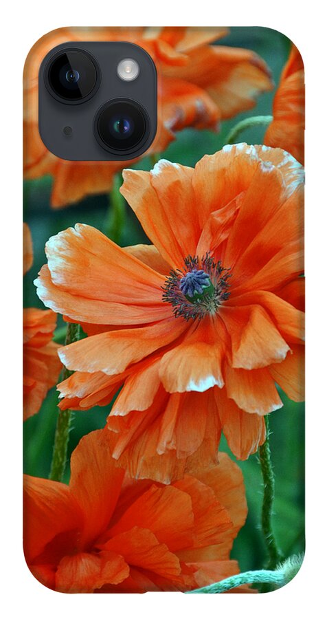 Papaver Somniferum. Opium iPhone 14 Case featuring the photograph Poppy Fields by Angelina Tamez