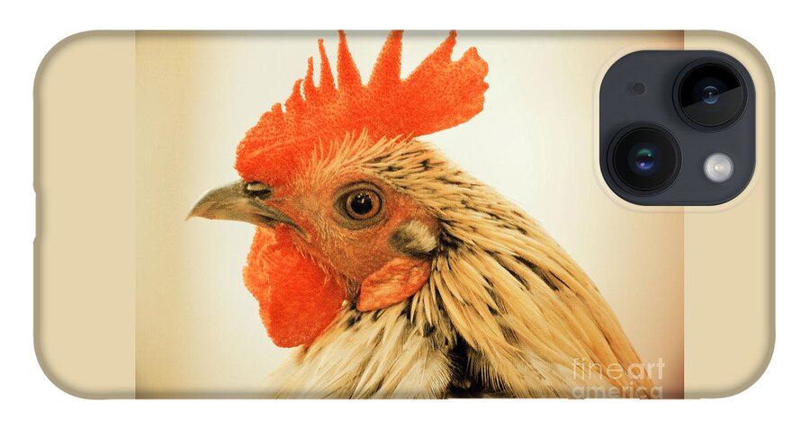 Rooster iPhone 14 Case featuring the photograph Portrait Of A Wild Rooster by Jan Gelders