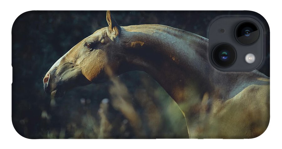 Russian Artists New Wave iPhone 14 Case featuring the photograph Portrait of Akhalteke Horse by Ekaterina Druz