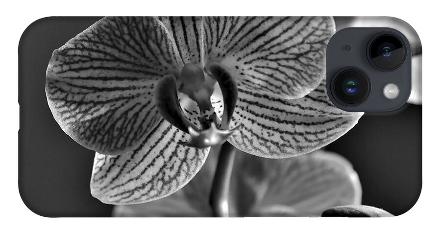 Orchid iPhone 14 Case featuring the photograph Pretty Orchid BW by Jeremy Hayden