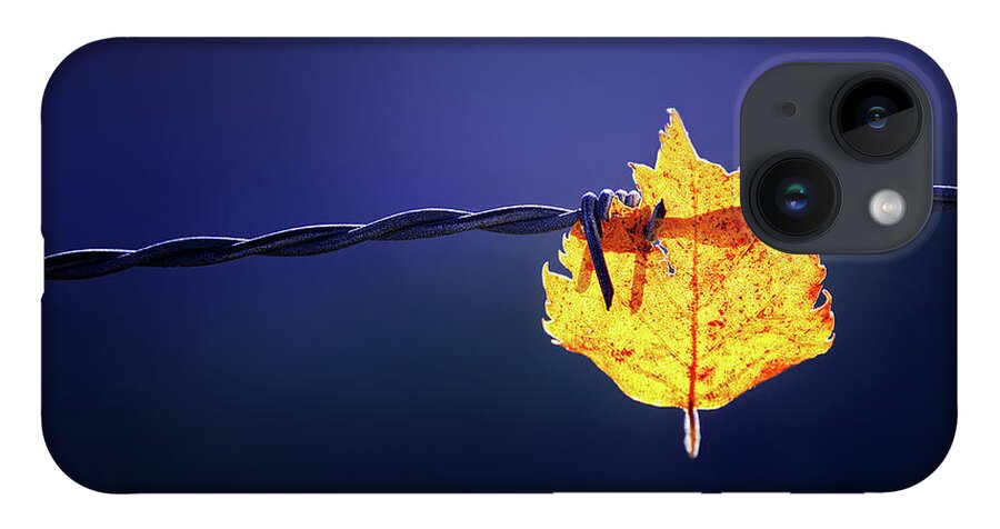 Leaf iPhone 14 Case featuring the photograph Prisioner by Mikel Martinez de Osaba