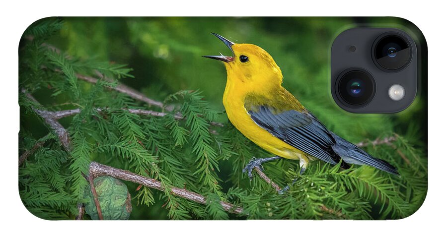 Nature iPhone 14 Case featuring the photograph Prothonatory Warbler 9809 by Donald Brown