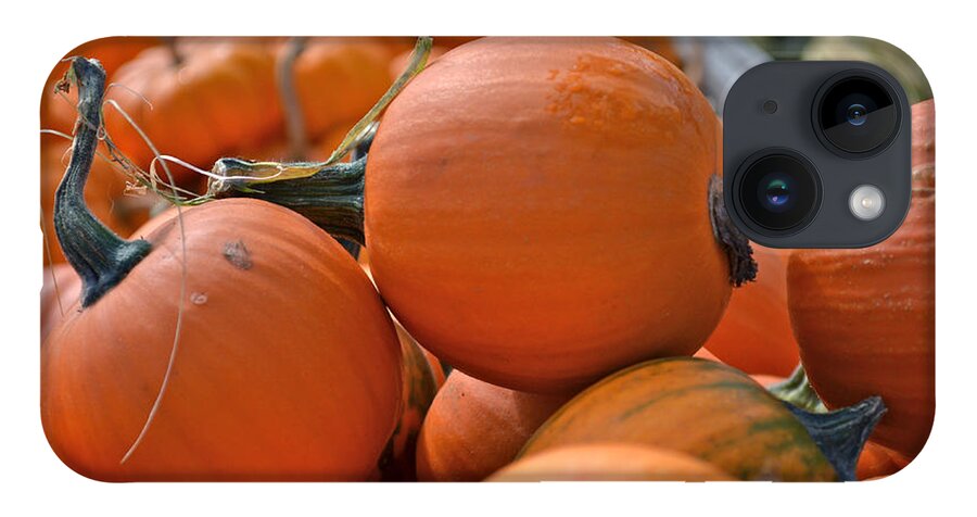 Food iPhone 14 Case featuring the photograph Pumpkin Harvest by Jason Freedman