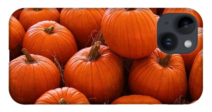 Photo For Sale iPhone 14 Case featuring the photograph Pumpkin Parch 3 by Robert Wilder Jr