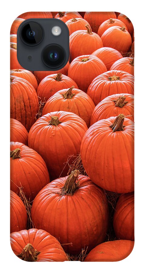 Autumn iPhone 14 Case featuring the photograph Pumpkin Patch by Robert Wilder Jr