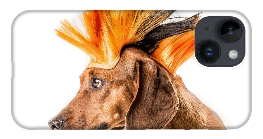Roni B iPhone 14 Case featuring the photograph Punk Rock Dachshund by SR Green