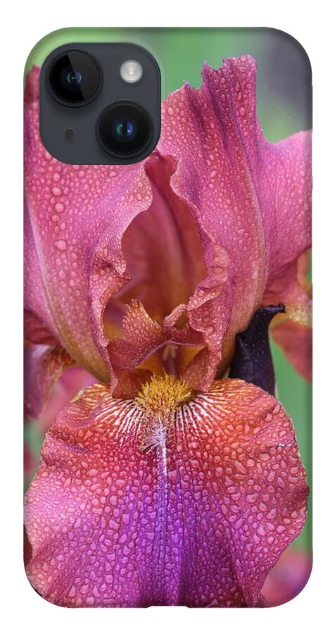 Iris iPhone 14 Case featuring the photograph Purple beauty by James Smullins