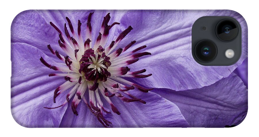 Flowers iPhone 14 Case featuring the photograph Purple Clematis Blossom by Louis Dallara