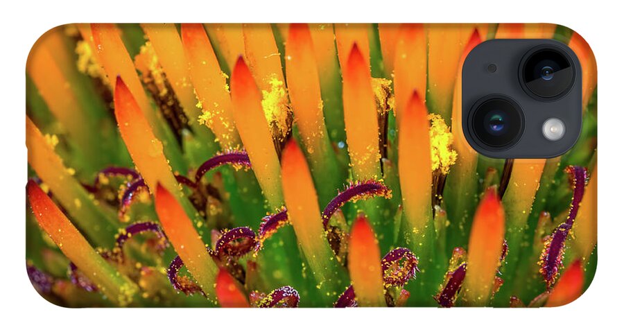 Flower iPhone Case featuring the photograph Purple Cone Flower Closeup by Brad Boland