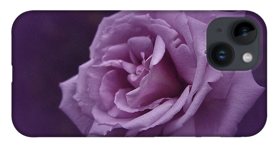 Rose iPhone 14 Case featuring the photograph Purple Rose of November by Richard Cummings