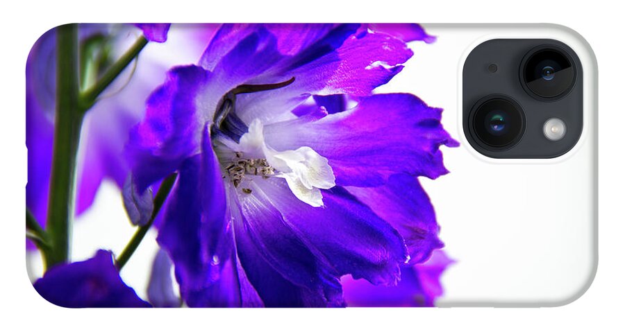 Longwood Gardens iPhone 14 Case featuring the photograph Purpled by David Sutton