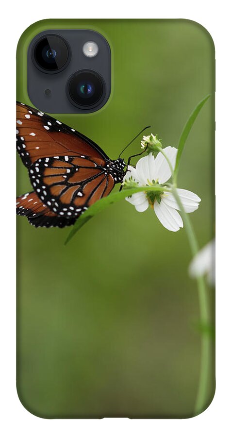Butterfly iPhone 14 Case featuring the photograph Queen Drinking Nectar by Artful Imagery