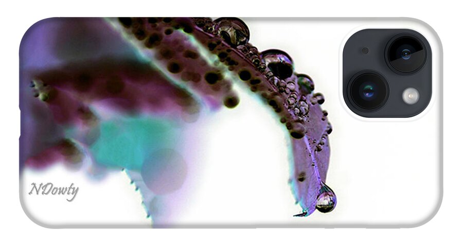 Rain On Rose Leaf Abstract iPhone 14 Case featuring the photograph Rain on Rose Leaf Abstract by Natalie Dowty
