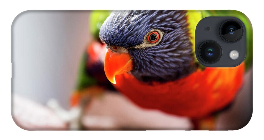 Rainbow Lorikeet; Exotic; Australian Parrot; Close Up Of Bird; Eye; Colourful; Colorful Bird iPhone 14 Case featuring the photograph Rainbow lorikeet close up by Sheila Smart Fine Art Photography