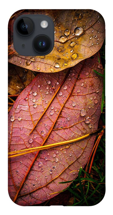 Raindrops iPhone 14 Case featuring the photograph Raindrops on the Fallen - III by Mark Rogers