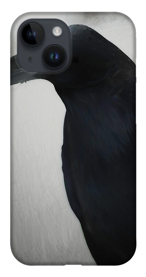 Birds iPhone 14 Case featuring the photograph Raven by Greg Waddell