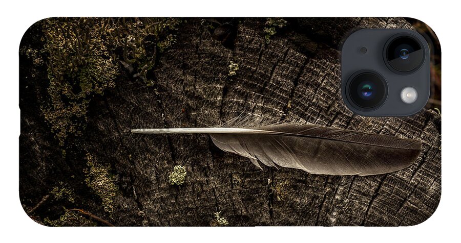 Raven iPhone Case featuring the photograph Ravens Feather by Fred Denner