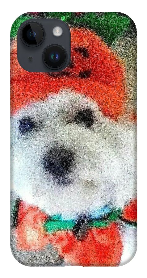 Coton De Tulear iPhone 14 Case featuring the photograph Really Halloween by Suzanne Berthier