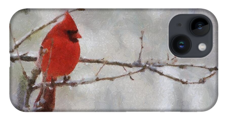 Bird iPhone 14 Case featuring the painting Red Bird of Winter by Jeffrey Kolker