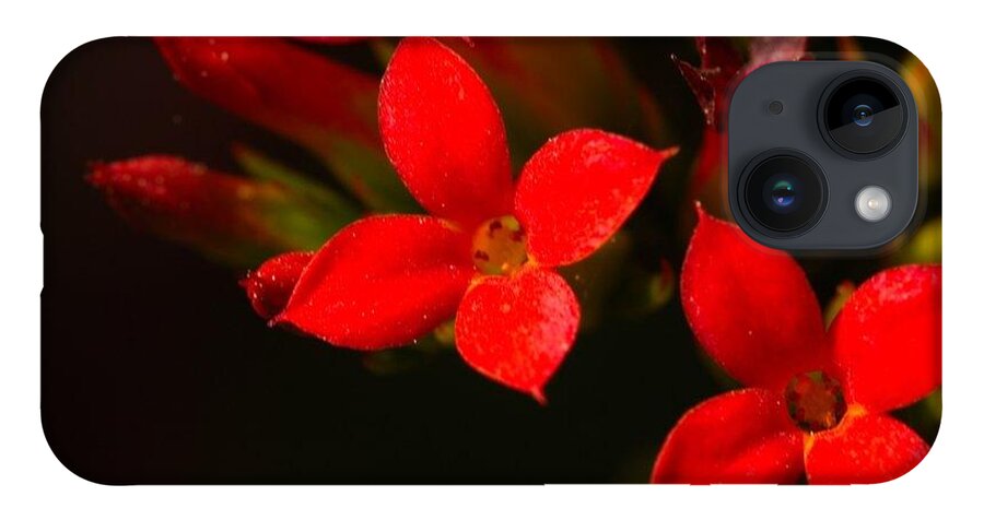 Red iPhone 14 Case featuring the photograph Red blooms by James Smullins