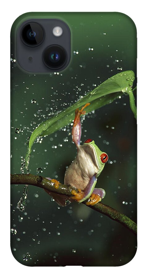Mp iPhone 14 Case featuring the photograph Red-eyed Tree Frog In The Rain by Michael Durham