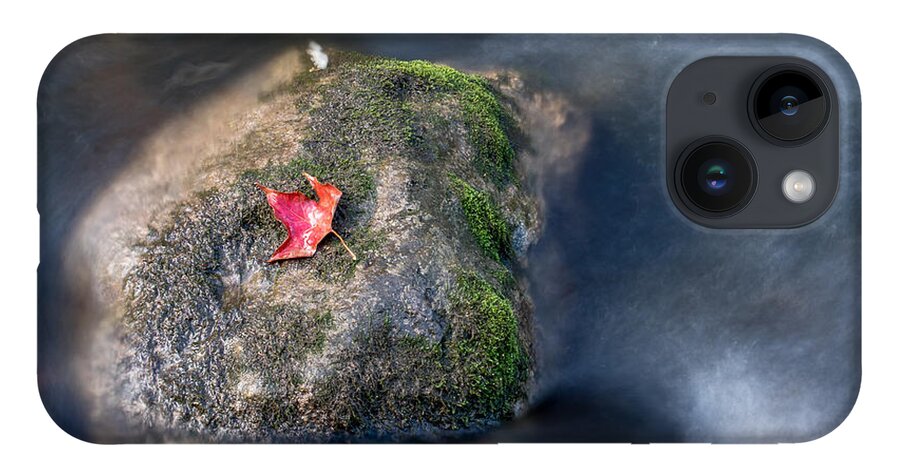 Art iPhone 14 Case featuring the photograph Red Leaf by Phil Spitze