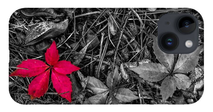 Red iPhone 14 Case featuring the photograph Red Leaf by Randy Sylvia