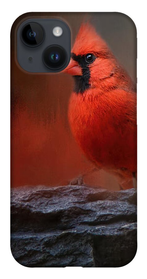 Jai Johnson iPhone 14 Case featuring the photograph Red On The Rocks - Cardinal Bird Art by Jai Johnson