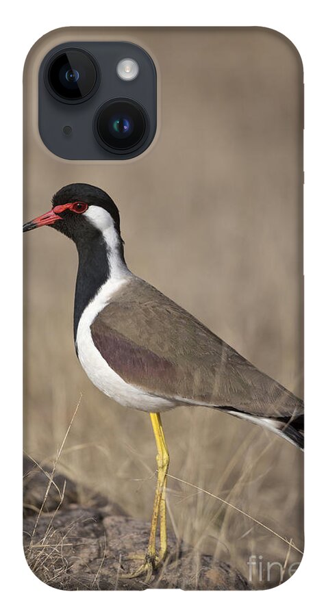 Red-wattled Lapwing iPhone 14 Case featuring the photograph Red-wattled Lapwing by Bernd Rohrschneider/FLPA