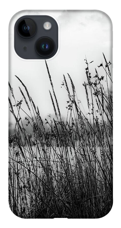 Black And White iPhone 14 Case featuring the digital art Reeds of Black by JGracey Stinson