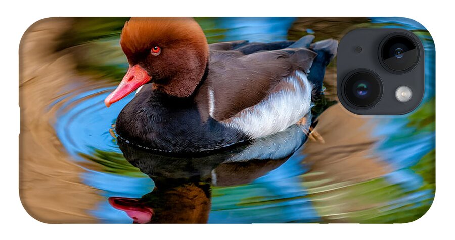 Bird iPhone 14 Case featuring the photograph Resting In Pool Of Colors by Christopher Holmes