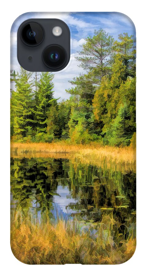 Door County iPhone Case featuring the painting Ridges Sanctuary Reflections by Christopher Arndt